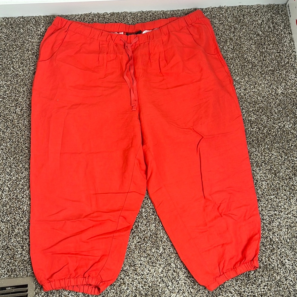 Lane Bryant pants